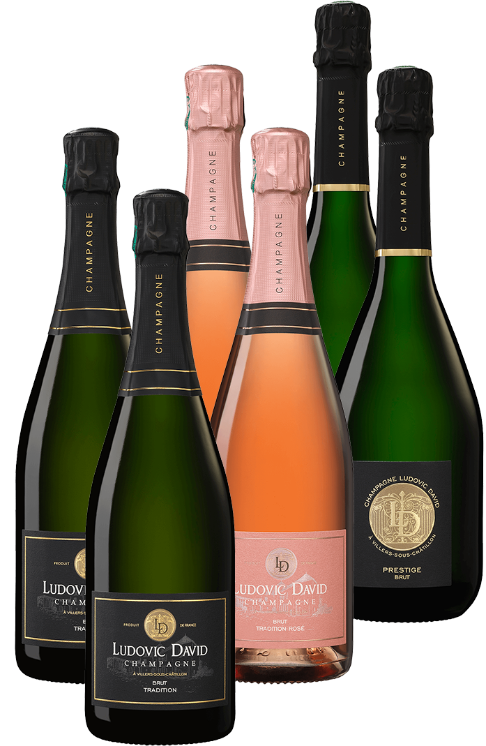 Champagne Ludovic David - Box Découverte