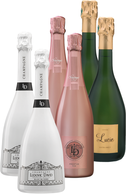 Champagne Ludovic David - Box Prestige