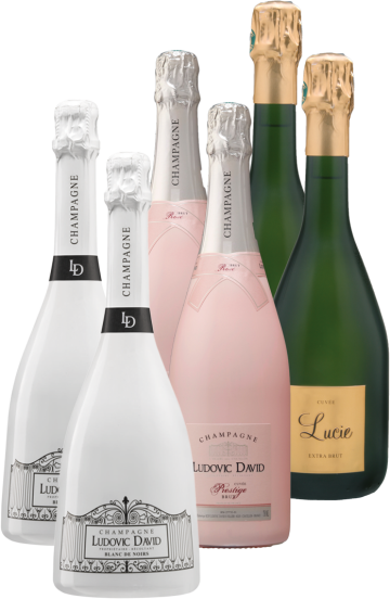 Champagne Ludovic David - Box Prestige
