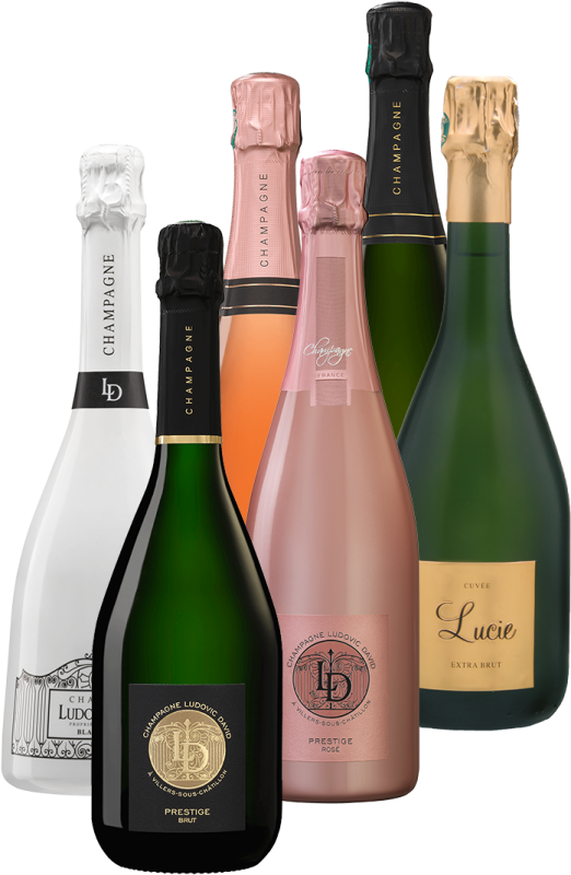 Champagne Ludovic David - Carton